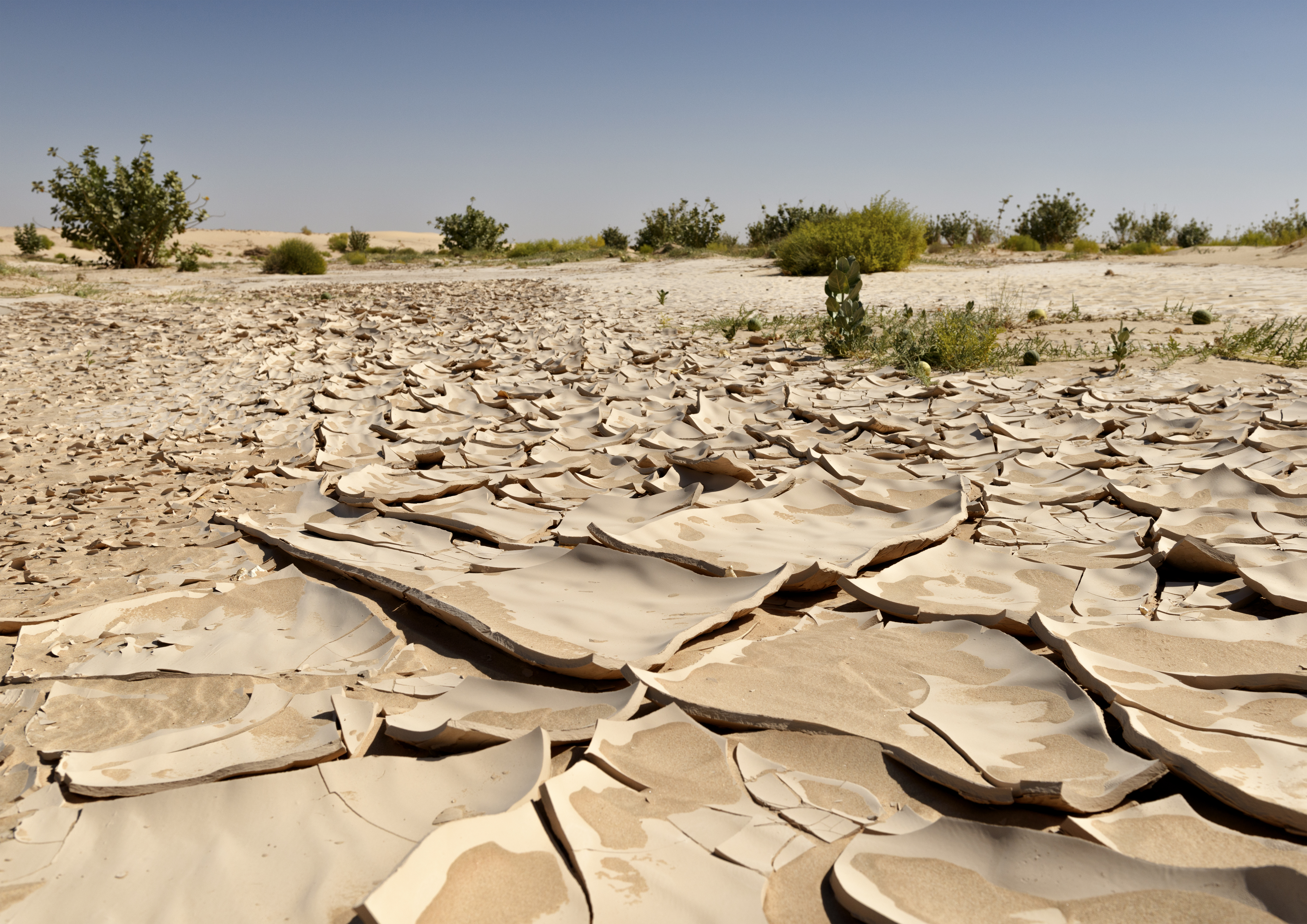 Drought region
